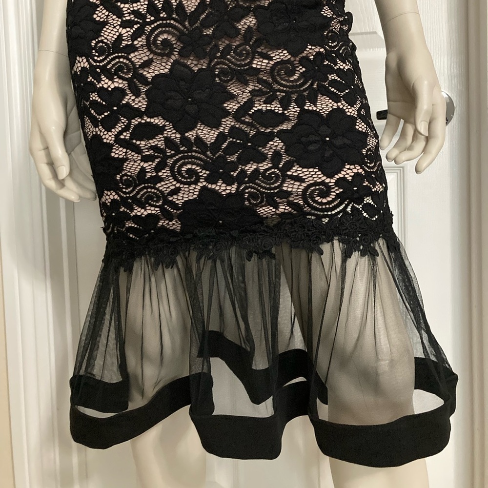 Olive Tree - image 4